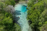 Gilchrist Blue Glass Bottom Kayak Eco Tour 2 hr thumbnail 6
