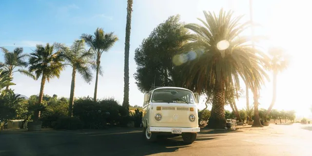 Temecula VW Bus Wine Tour - Image 3