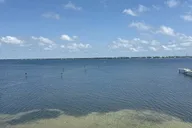 Panama City Beach Dolphin and Eco Tour thumbnail 2