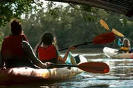 North Miami Beach Eco Kayak or Paddleboard Tour thumbnail 2
