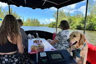 Vero Beach Dolphin Boat Tour thumbnail 2