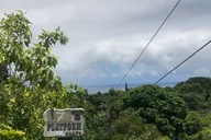 Maui Zipline Eco Adventure thumbnail 6