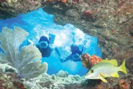Key West Snorkeling Tour: Double Dip Reef Adventure thumbnail 1