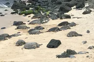Maui Scenic Tour to Halfway to Hana thumbnail 1