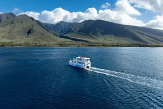 Maui Snorkel Adventure: Molokini Crater and Turtle Stop