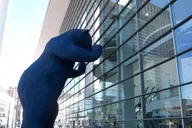 Denver Rocky Mountain Tour 7-Day Adventure thumbnail 1
