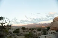 Joshua Tree Small Group Tour and Hike thumbnail 6