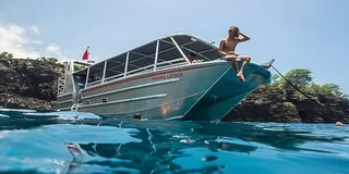Kailua-Kona Marine Life and Snorkel Tour