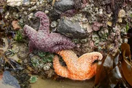 Portland Oregon Coast Tour thumbnail 1