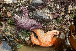 Portland Oregon Coast Tour