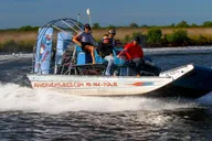 Homosassa Airboat Ride and Dolphin Watching thumbnail 2