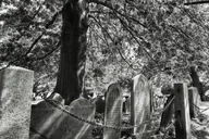 Salem Ghost Walking Tour thumbnail 6
