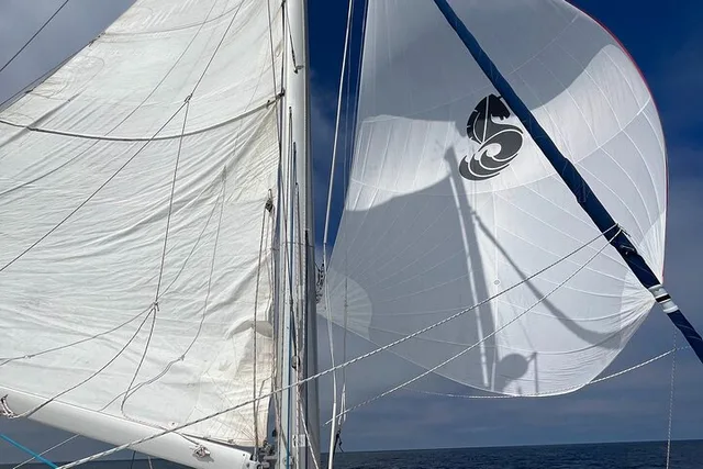 San Diego Catamaran Sunset Tour - Image 3