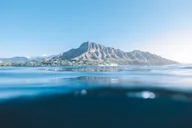 Honolulu Whale Watching and Coastal Swimming Tour thumbnail 5