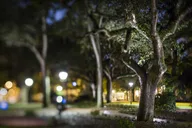 Savannah Zombie Night-Time Walking Ghost Tour thumbnail 3