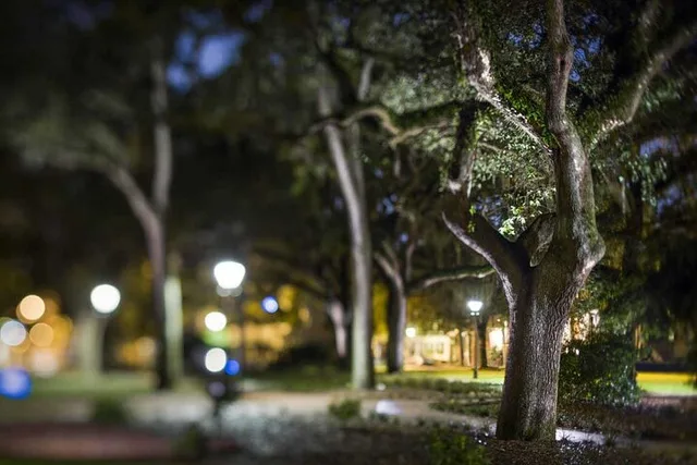 Savannah Zombie Night-Time Walking Ghost Tour - Image 3