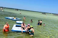 Destin Crab Island Catamaran Tour thumbnail 6