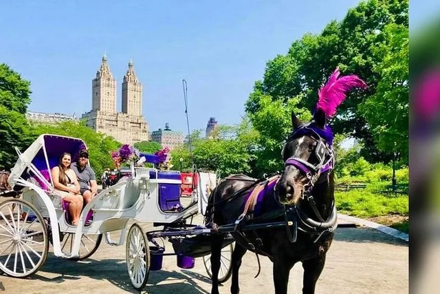 New York Central Park Pedicab Tour - Image 1