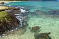 Oahu North Shore Waimea Waterfall Tour 8 hr thumbnail 2
