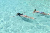 Destin Private Pontoon Tour to Crab Island 4 Hr thumbnail 2