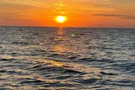 Tampa Bay Sunset Cruise with Celebrity Homes thumbnail 2