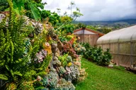 Kula Farm Tour in Maui thumbnail 4