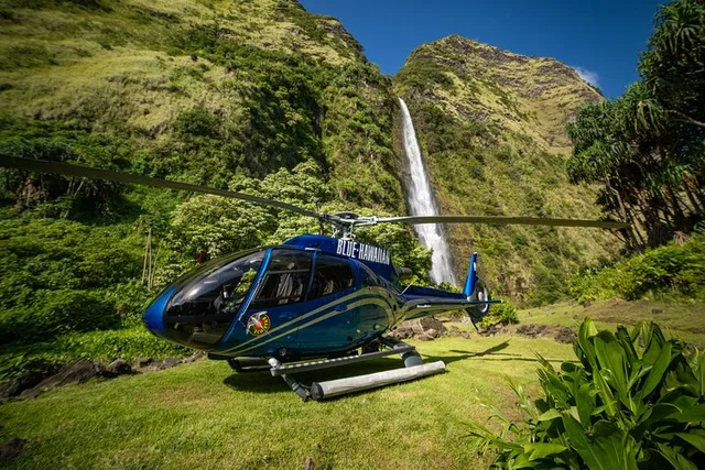 Waikoloa Helicopter Tour with Kohala Waterfalls Landing - Image 2