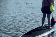 Cocoa Beach Dolphin and Manatee Kayak Tour thumbnail 2