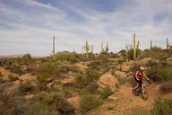 Scottsdale Mountain Bike Tour in Sonoran Desert thumbnail 4