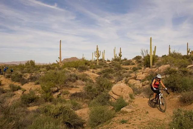 Scottsdale Mountain Bike Tour in Sonoran Desert - Image 4