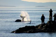 Santa Maria to Monterey Smartphone Driving Tour thumbnail 4