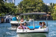 Fort Lauderdale Wildlife Boat Tour to Raccoon Island thumbnail 4