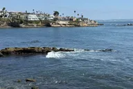 La Jolla Coastal Golf Cart Tour thumbnail 6