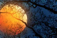 Savannah Ghost Tour Sixth Sense thumbnail 2