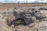 Hilo Kilauea Volcano Private Tour 6 hr thumbnail 2