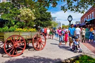 Savannah Walking Tour and River Cruise thumbnail 1
