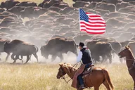 Rapid City Custer State Park Buffalo Roundup Tour thumbnail 1