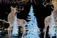 Denver Holiday Lights Cannabis Tour 2 hr thumbnail 6