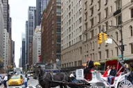 New York City Central Park Horse Carriage Ride thumbnail 5