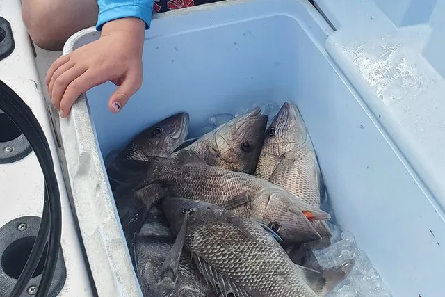 Englewood Offshore Fishing Charter - Image 2