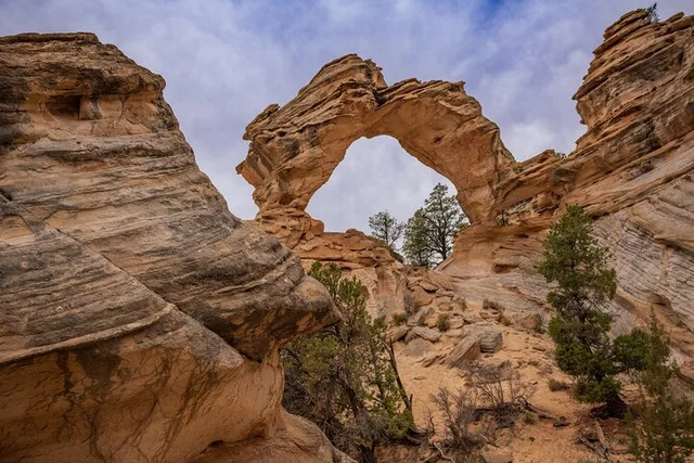 Kanab UTV Tour to Inchworm Arch 5 Hr - Image 6