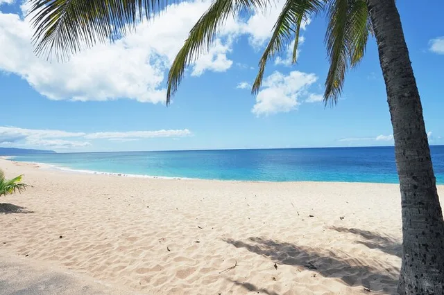 Oahu North Shore Experience - Image 6