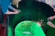Long Beach Glass Bottom Boat Eco-Tour thumbnail 4