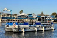 St Augustine Dolphin Tails & History Cruise thumbnail 2