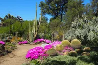 Walnut Creek Garden Admission thumbnail 2