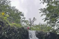 Maui Road to Hana Tour with Waterfalls and Beaches thumbnail 6
