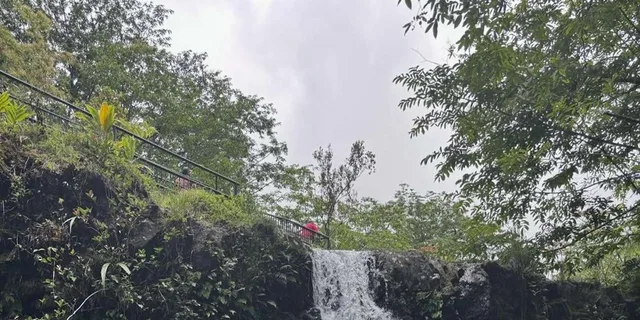 Maui Road to Hana Tour with Waterfalls and Beaches - Image 6
