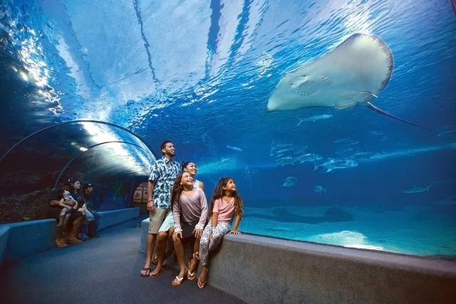 Maui Ocean Center Admission Ticket - Image 3
