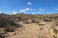 Dove Mountain Hiking Tour thumbnail 4