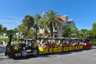 Key West Private Tour from Miami thumbnail 6